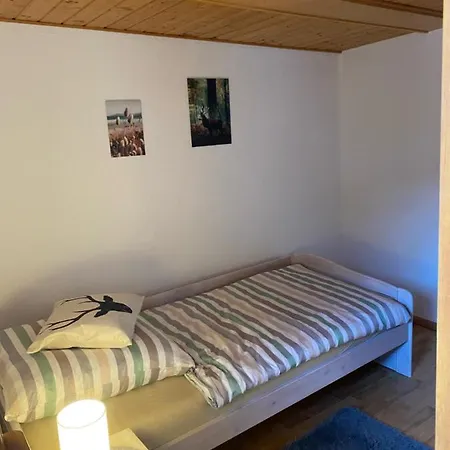 Basler Appartement