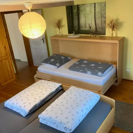 Basler Apartment Offenburg