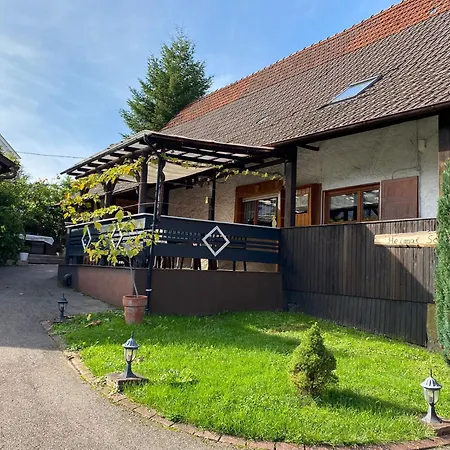 Basler Apartment Offenburg