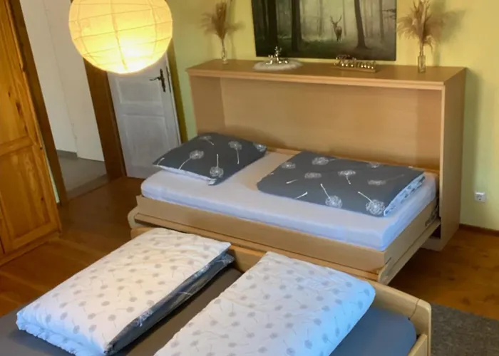 Basler Apartment Offenburg